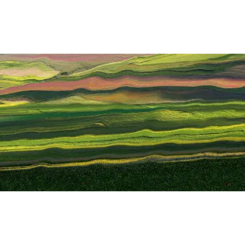 Natural Grass